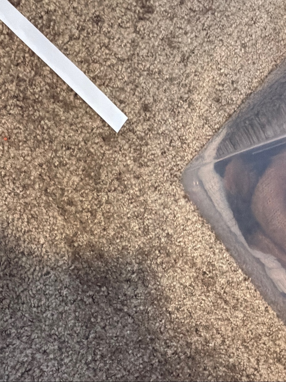 Clear Plastic Storage Bin - Translucent